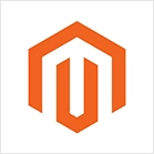 seo partner india