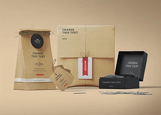 website design and development company